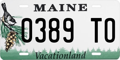ME license plate 0389TO