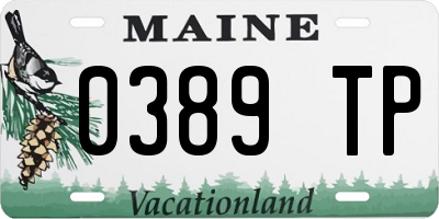 ME license plate 0389TP