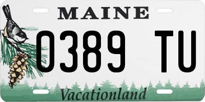 ME license plate 0389TU