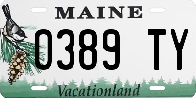 ME license plate 0389TY