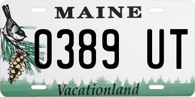 ME license plate 0389UT