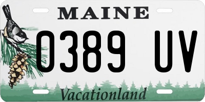 ME license plate 0389UV