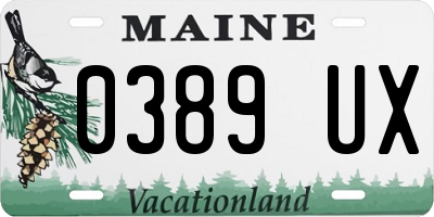 ME license plate 0389UX