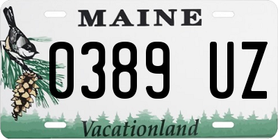 ME license plate 0389UZ