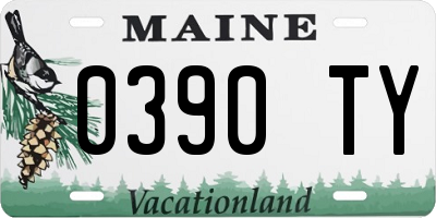 ME license plate 0390TY