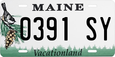 ME license plate 0391SY