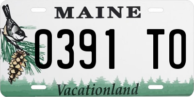 ME license plate 0391TO