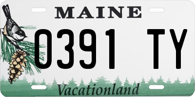 ME license plate 0391TY