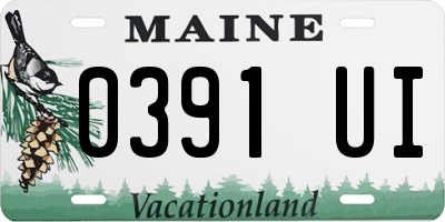 ME license plate 0391UI