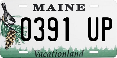 ME license plate 0391UP