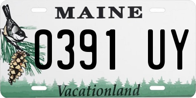 ME license plate 0391UY