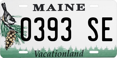 ME license plate 0393SE