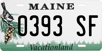 ME license plate 0393SF