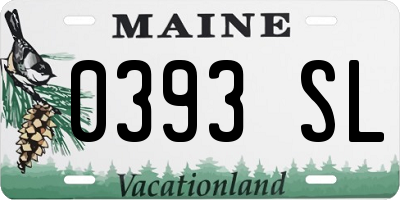 ME license plate 0393SL