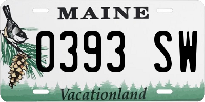 ME license plate 0393SW