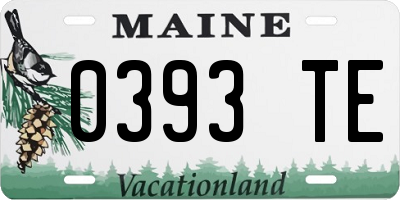 ME license plate 0393TE