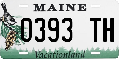 ME license plate 0393TH
