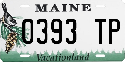 ME license plate 0393TP