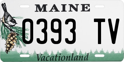 ME license plate 0393TV