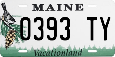 ME license plate 0393TY