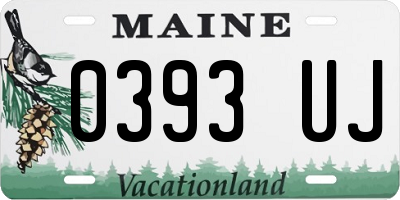 ME license plate 0393UJ