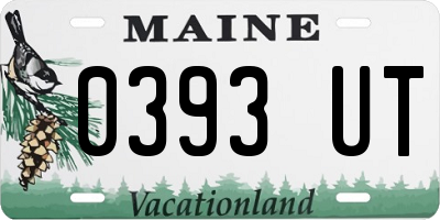 ME license plate 0393UT