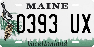 ME license plate 0393UX