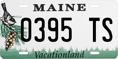 ME license plate 0395TS