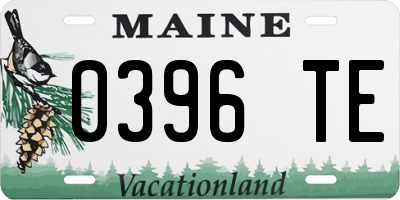 ME license plate 0396TE