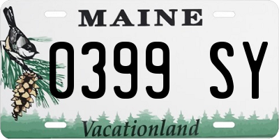 ME license plate 0399SY