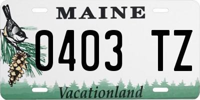 ME license plate 0403TZ