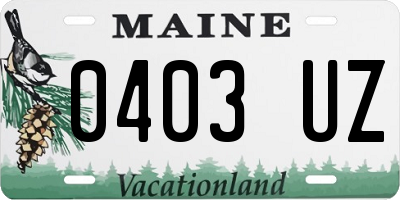 ME license plate 0403UZ