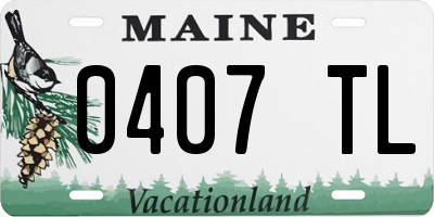 ME license plate 0407TL