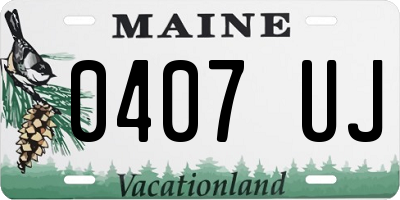 ME license plate 0407UJ
