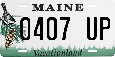 ME license plate 0407UP