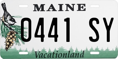 ME license plate 0441SY