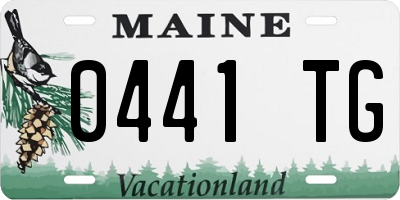 ME license plate 0441TG