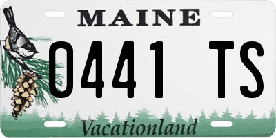 ME license plate 0441TS