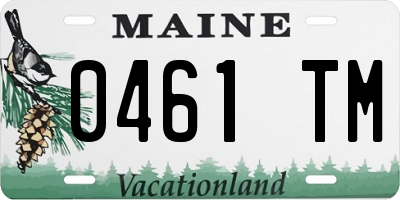 ME license plate 0461TM