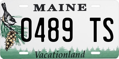 ME license plate 0489TS
