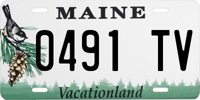 ME license plate 0491TV