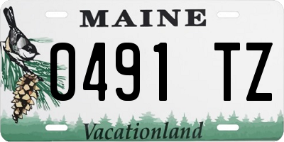 ME license plate 0491TZ