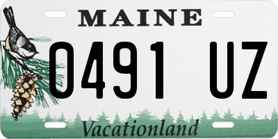 ME license plate 0491UZ