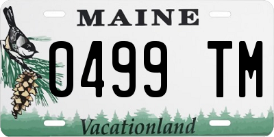 ME license plate 0499TM