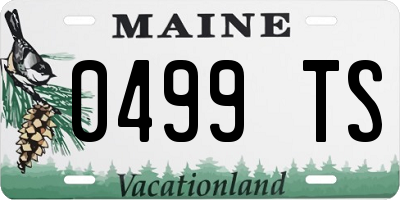 ME license plate 0499TS