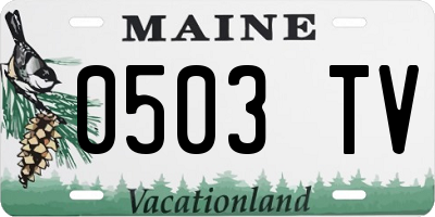 ME license plate 0503TV