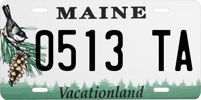 ME license plate 0513TA