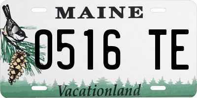 ME license plate 0516TE