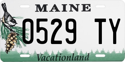 ME license plate 0529TY