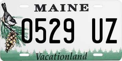 ME license plate 0529UZ